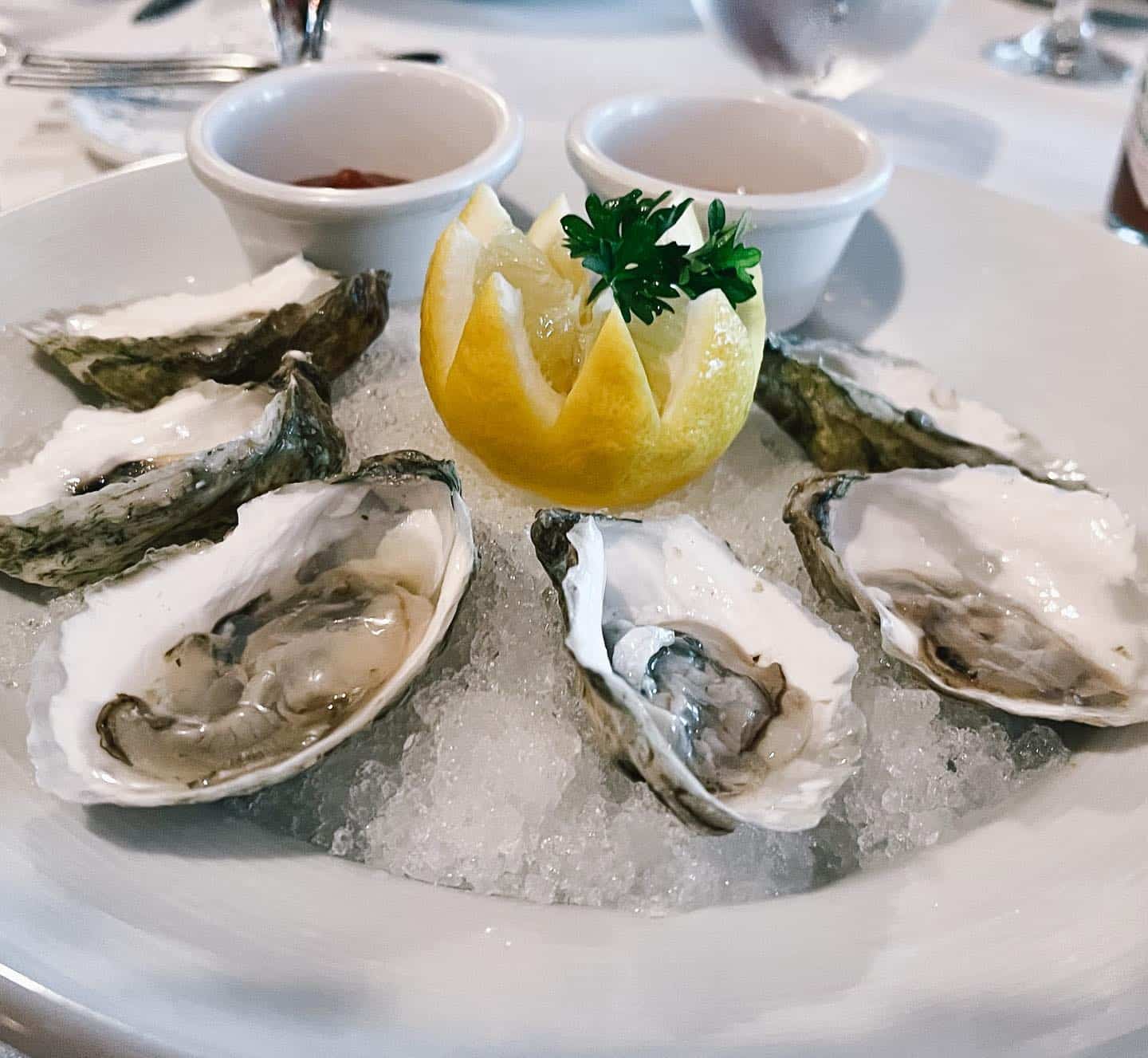 Delicious fresh oysters. By JM